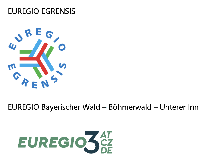 náhled Partnerská návštěva z Chamu